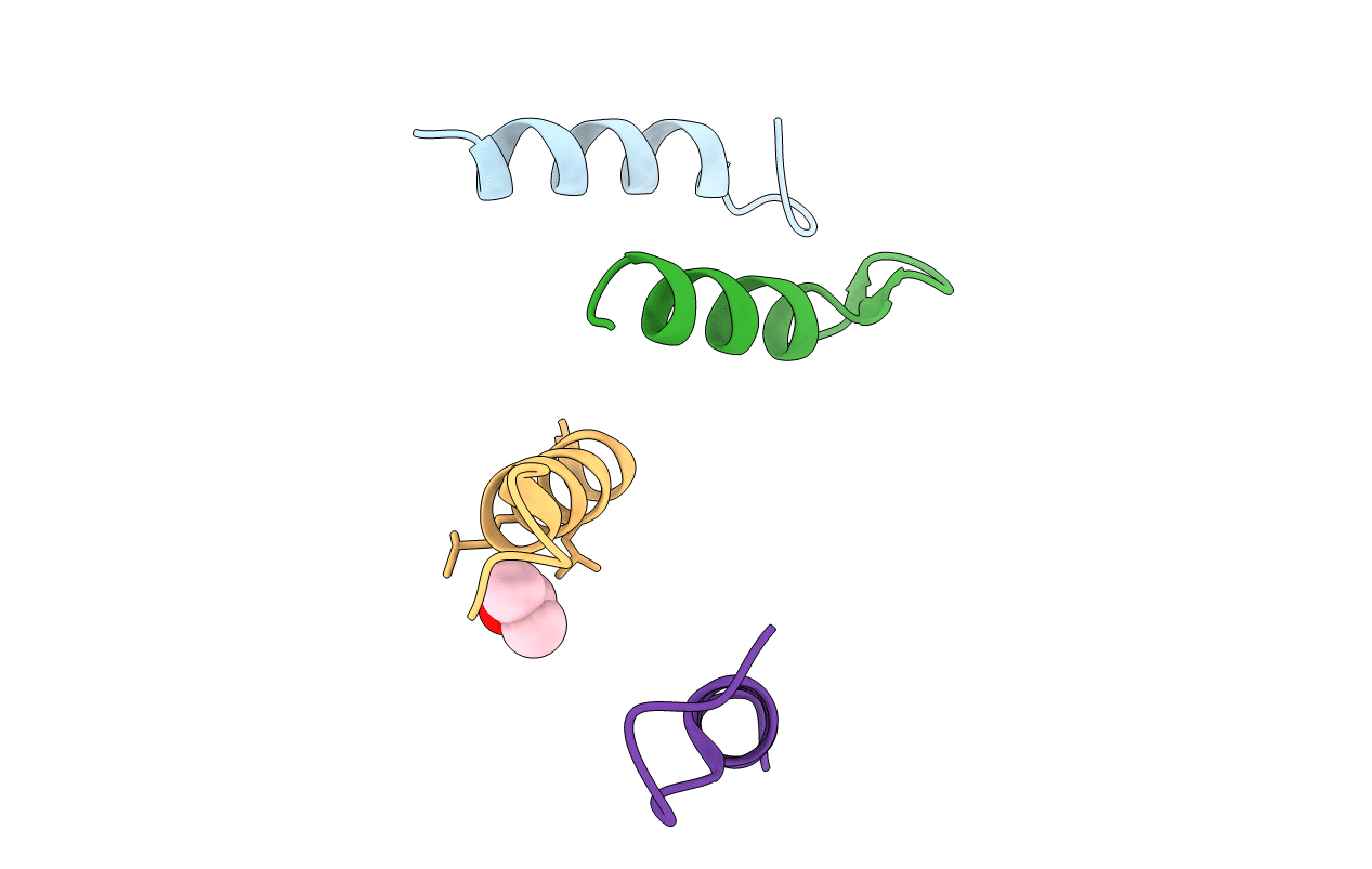 1SNA image