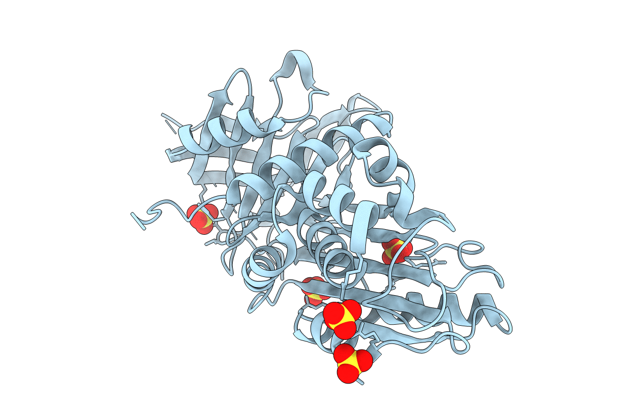 1SNG image