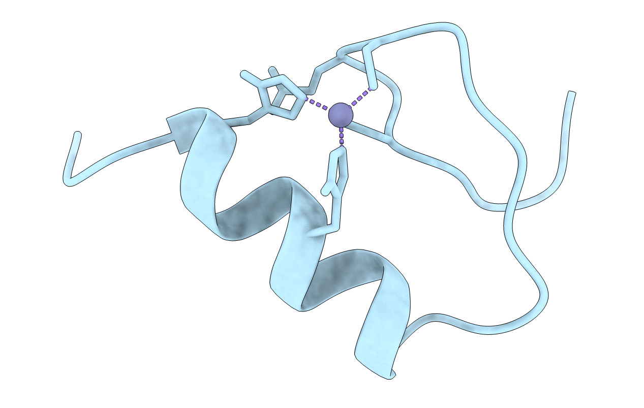 1SP1 image