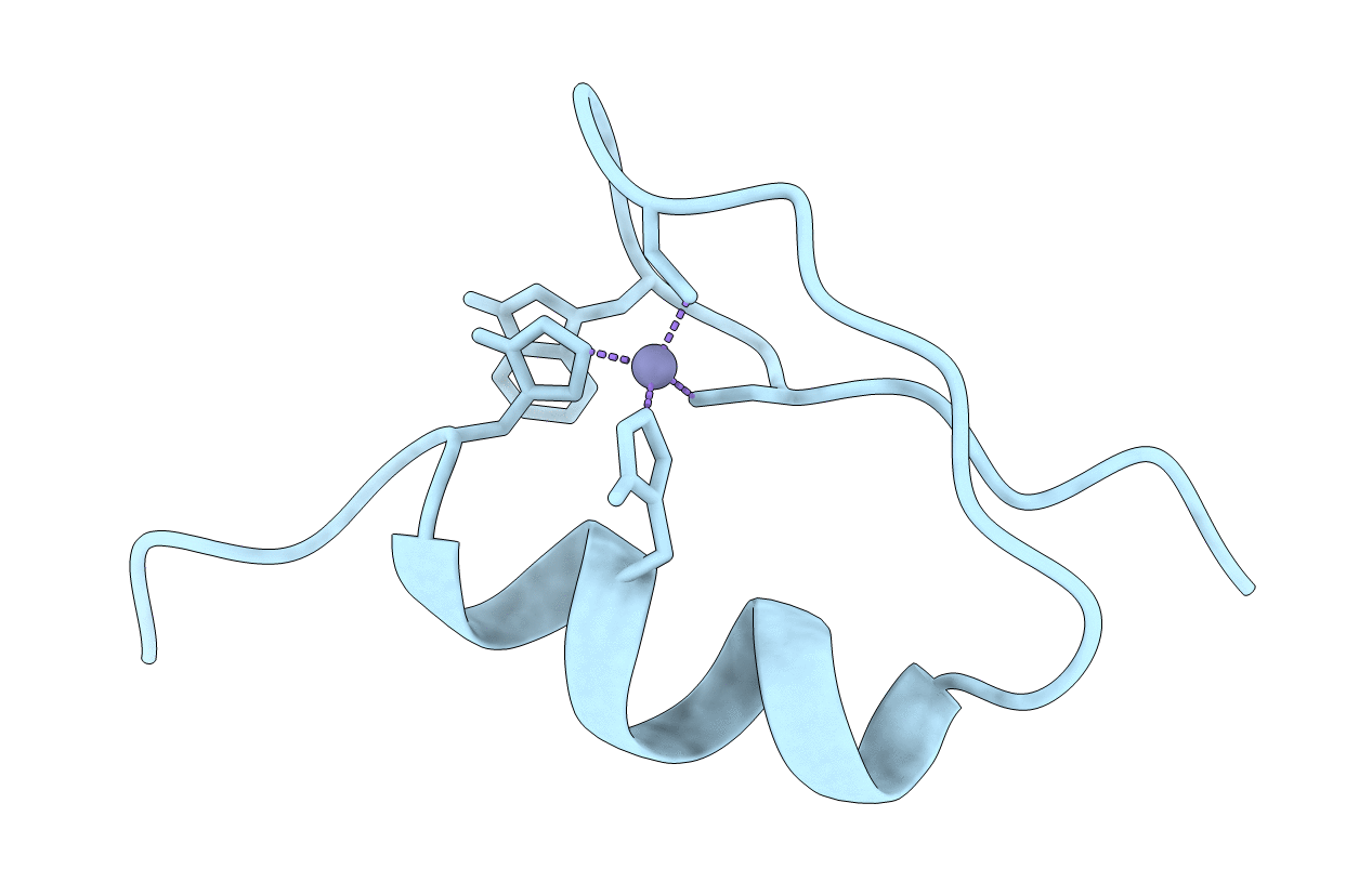 1SP2 image