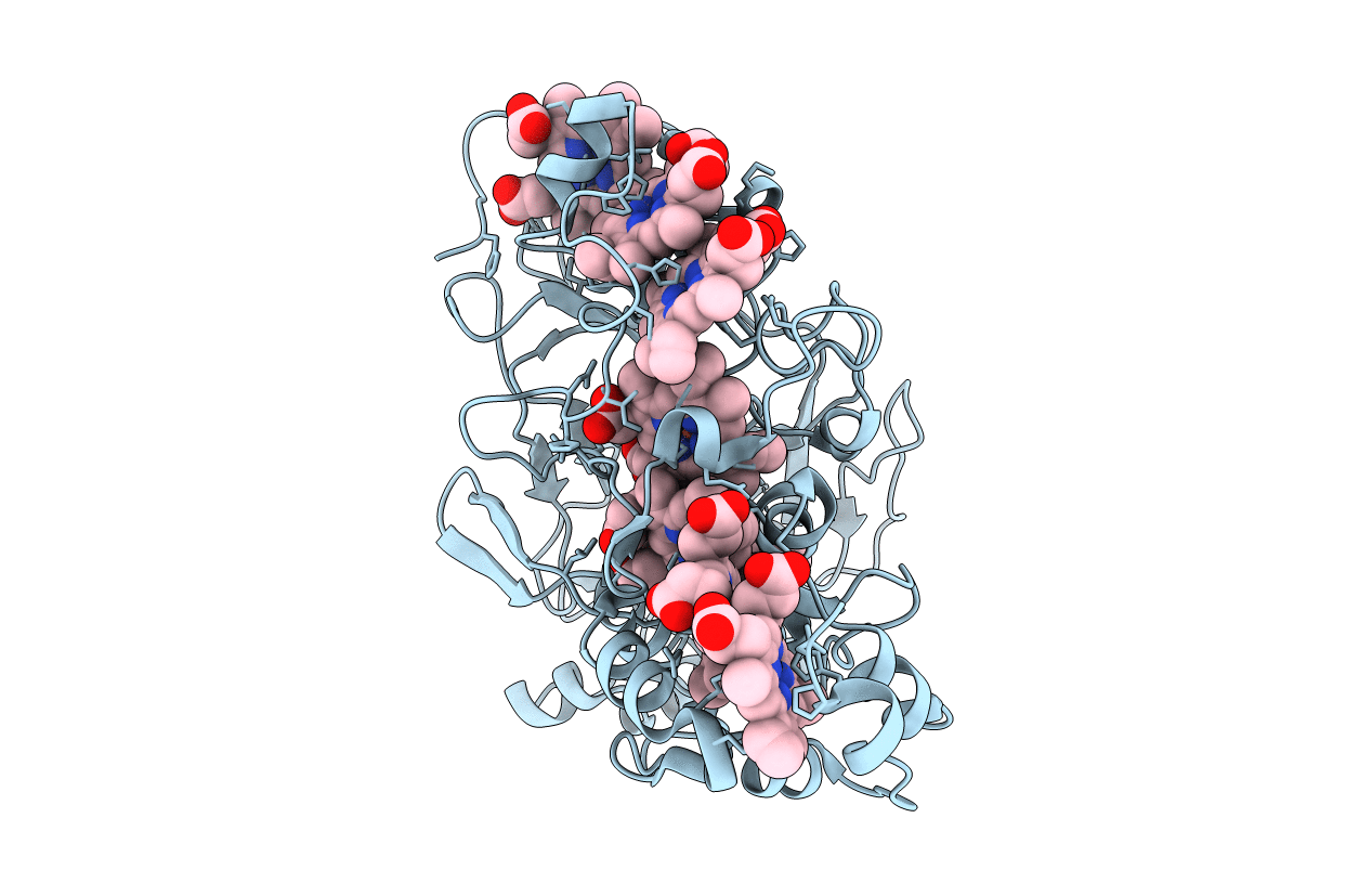 1SP3 image