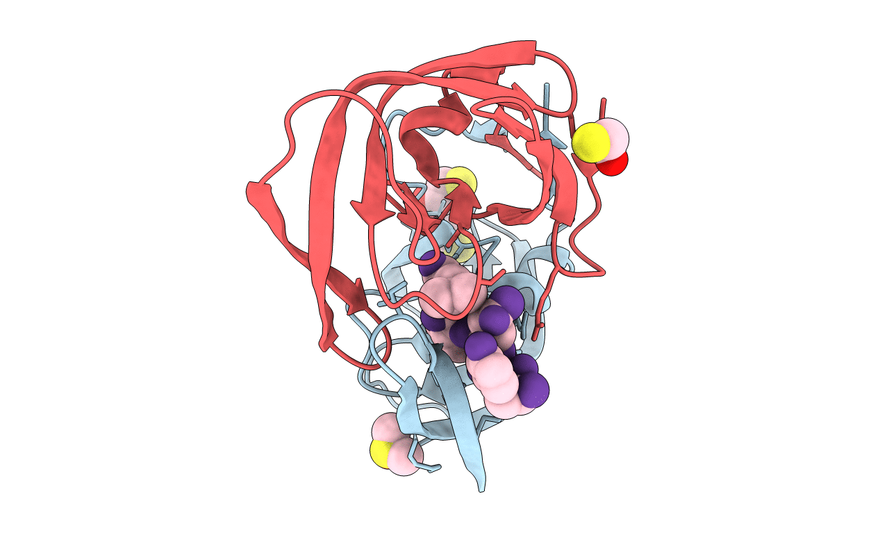 1SP5 image