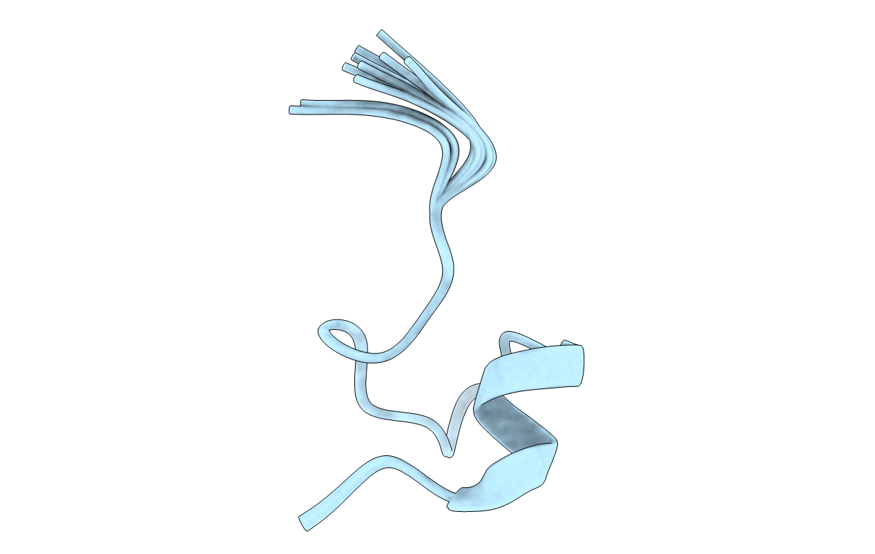 1SP7 image