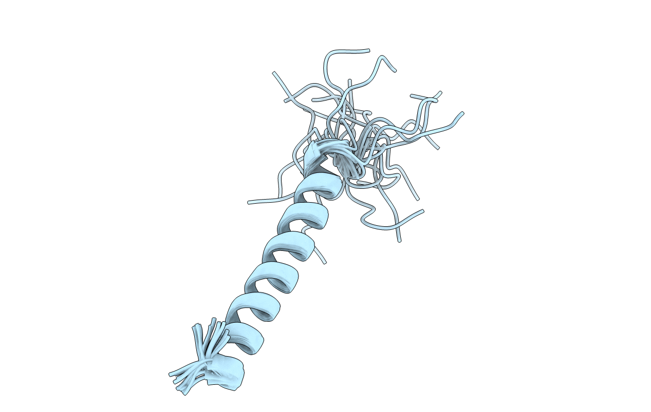 1SPF image