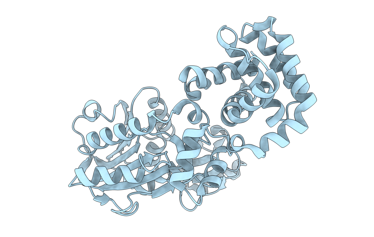 1SQG image
