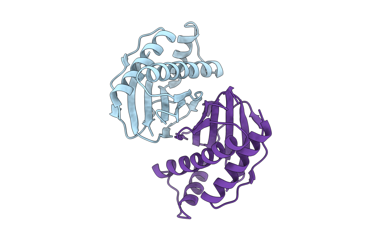 1SQU image