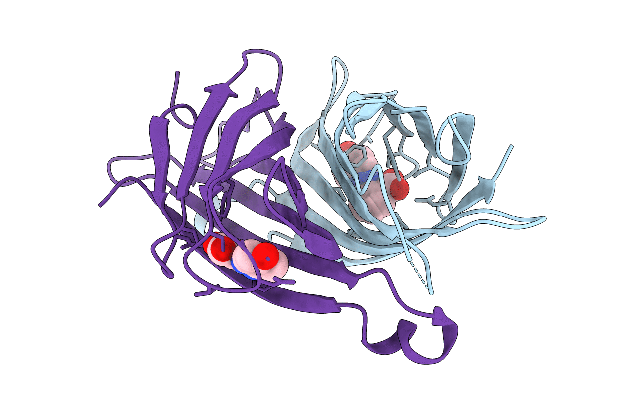 1SRE image