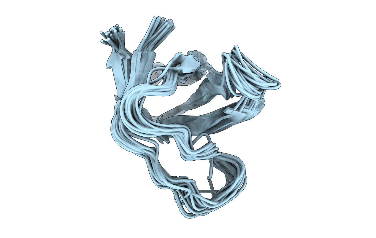 1SRM image