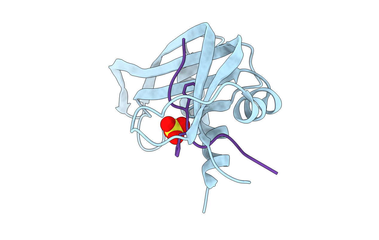 1SRN image