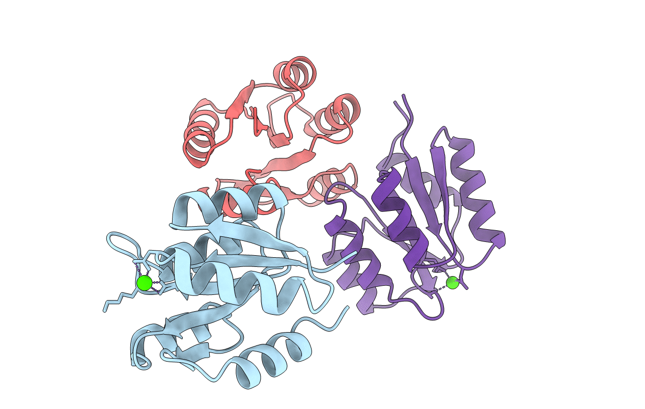 1SRR image