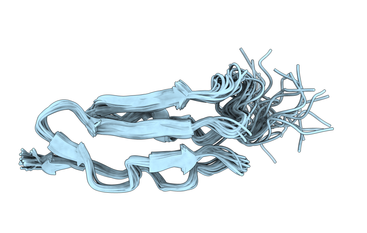 1SS2 image