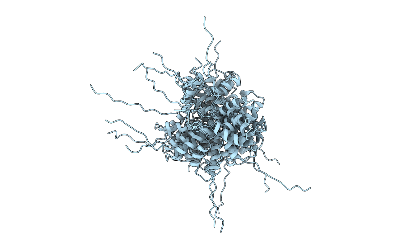 1SS3 image