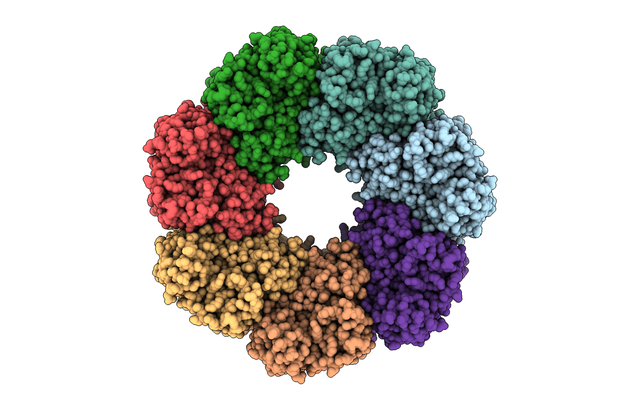 1SS8 image