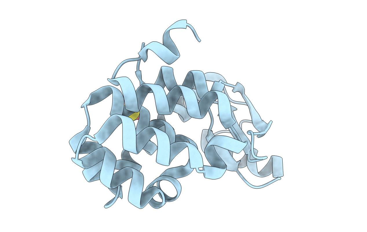 1SSW image