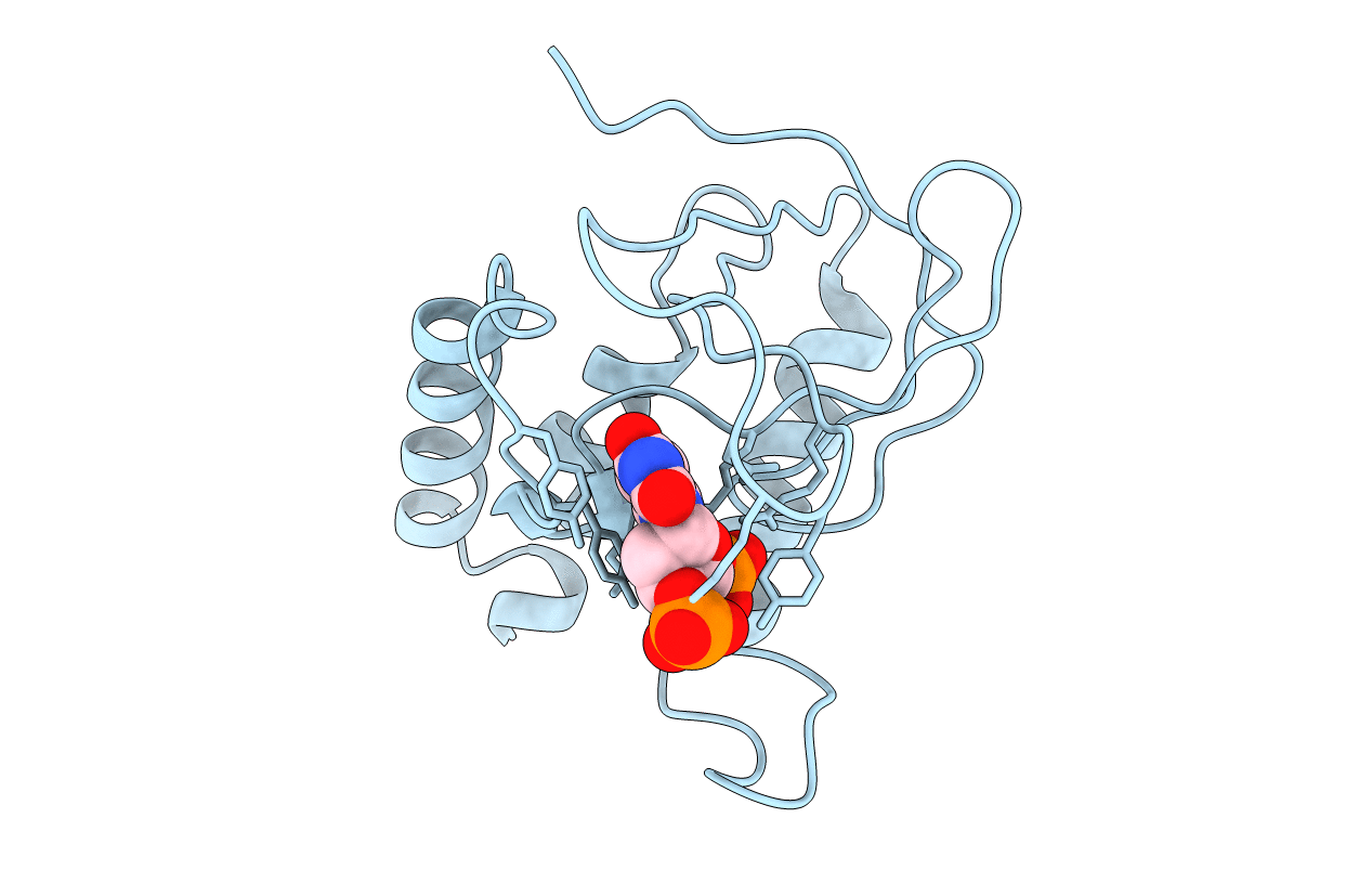 1STG image