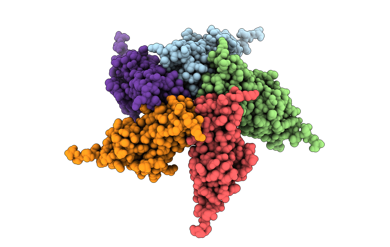 1STM image