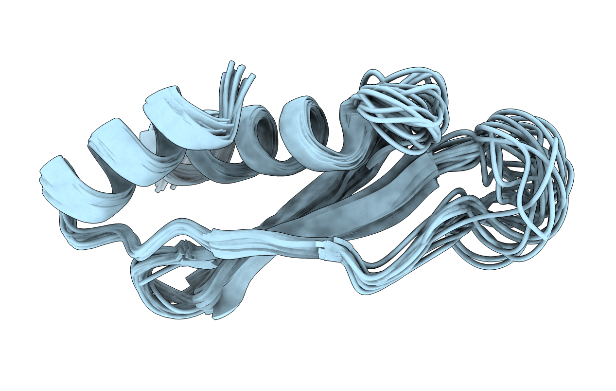 1STU image