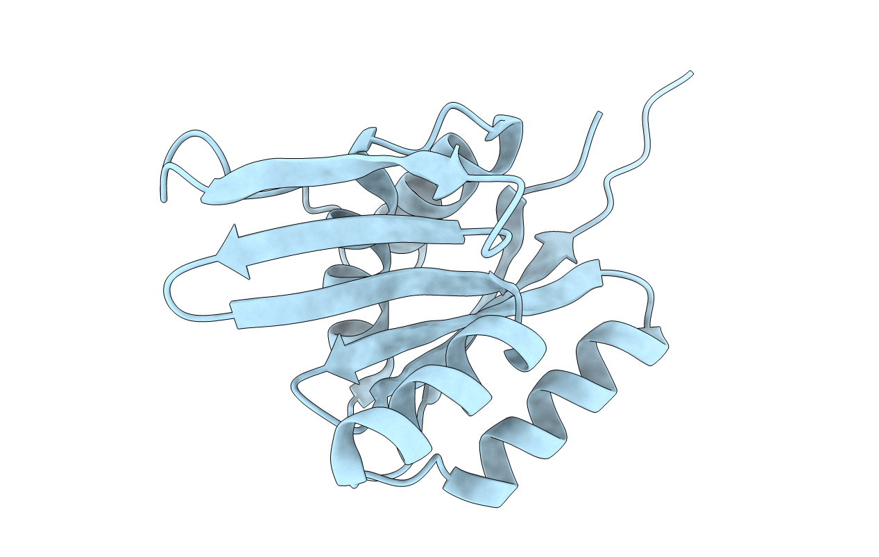 1SVJ image