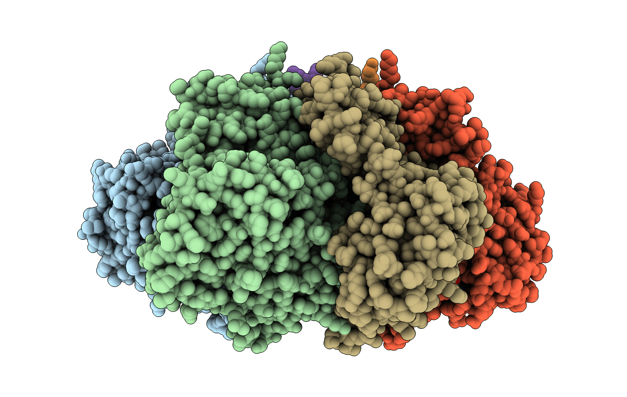 1SVM image