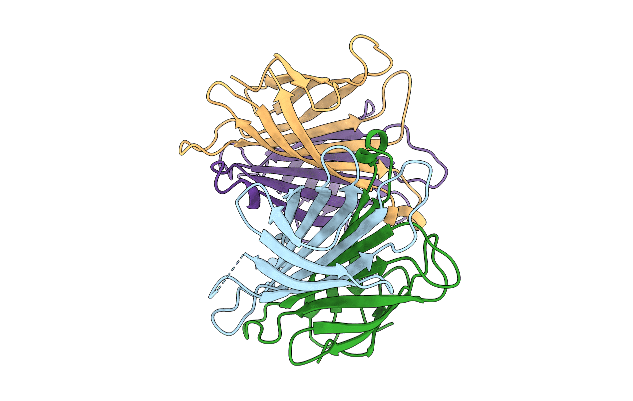 1SWJ image