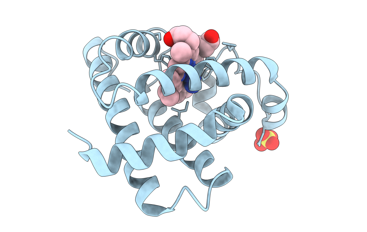 1SWM image