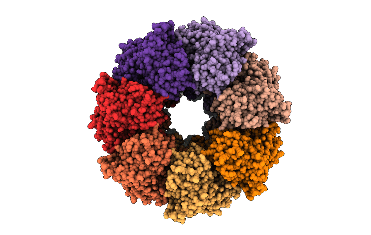 1SX3 image