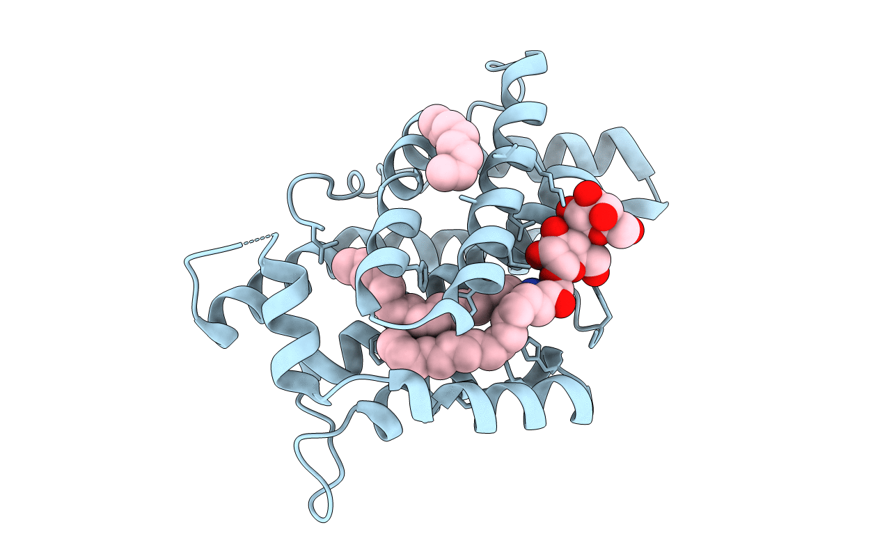 1sx6 image