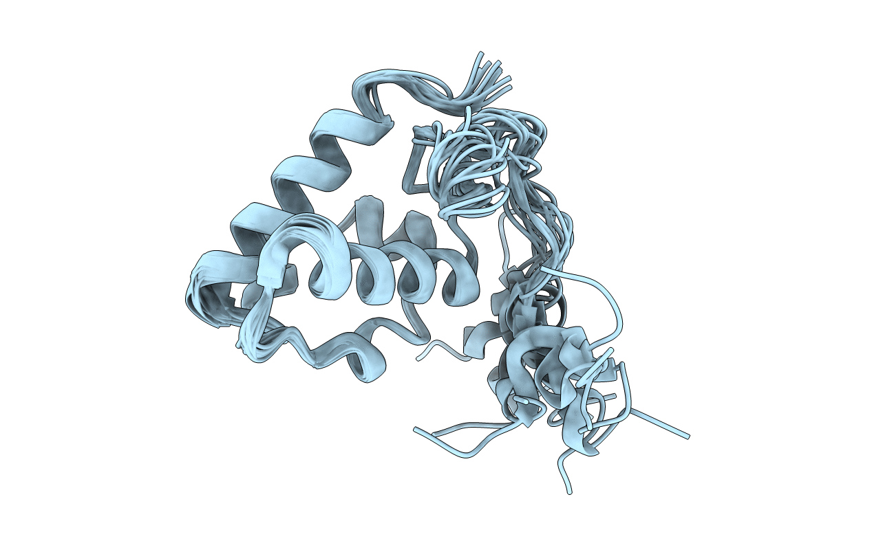 1SXE image