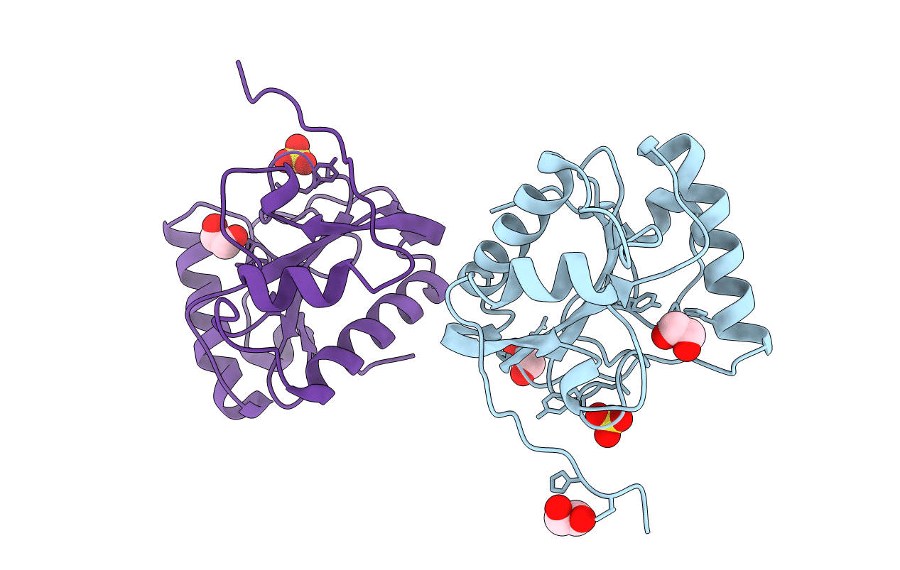 1SXR image