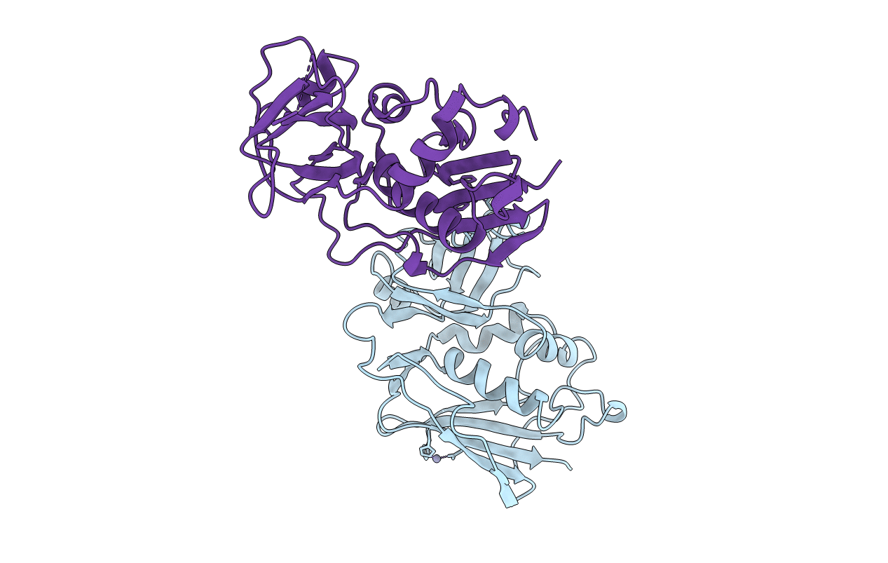 1SXT image