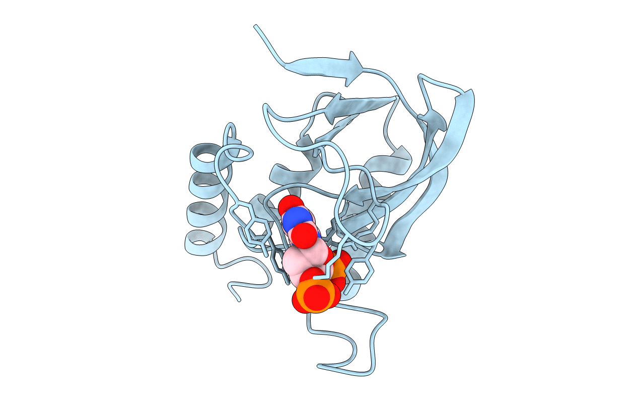 1SYB image