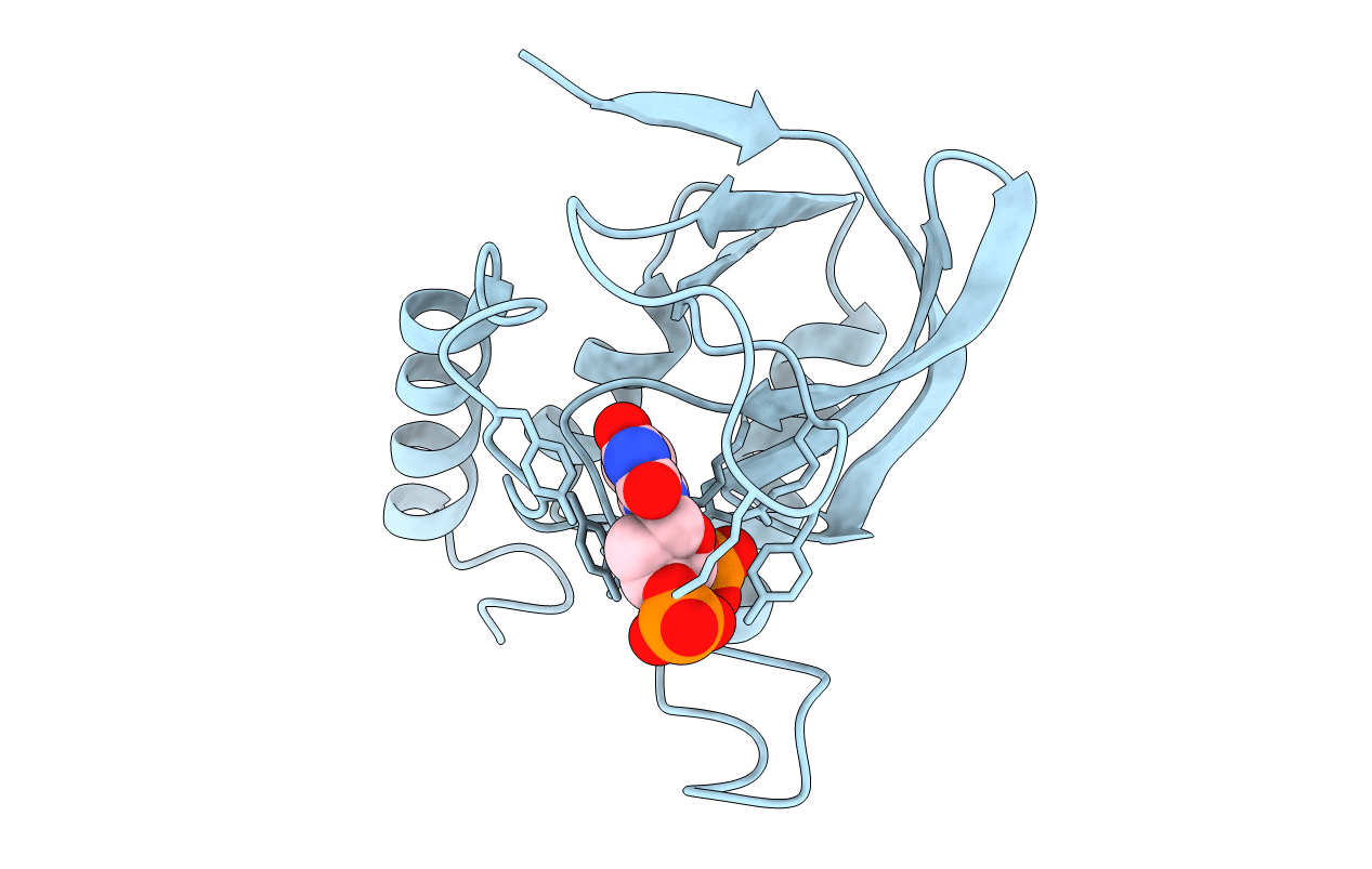 1SYF image