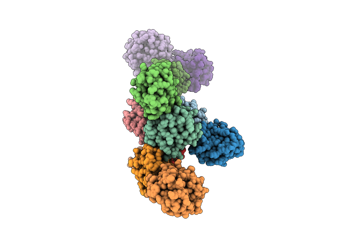 1SYR image