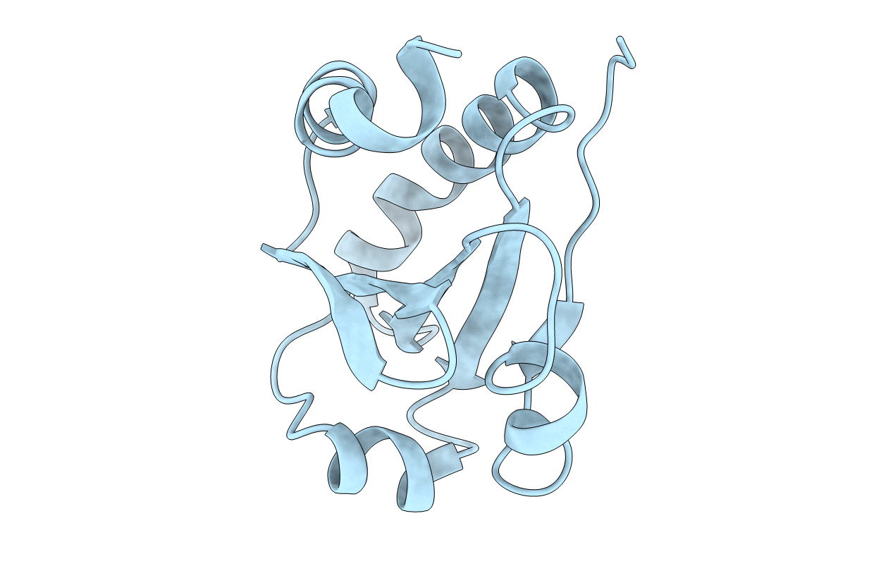 1T00 image