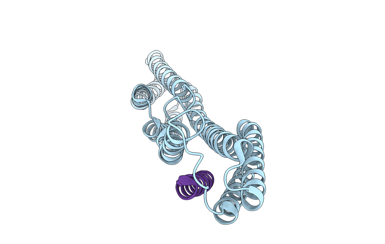 1T01 image