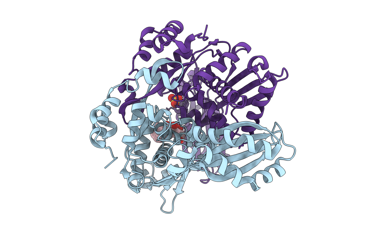 1T02 image