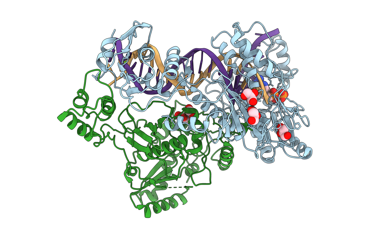 1T05 image