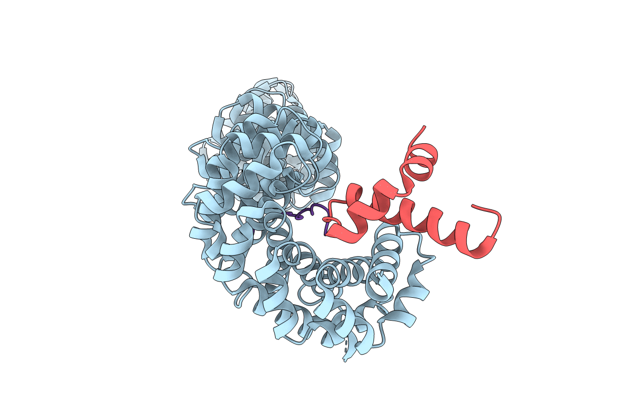 1T08 image