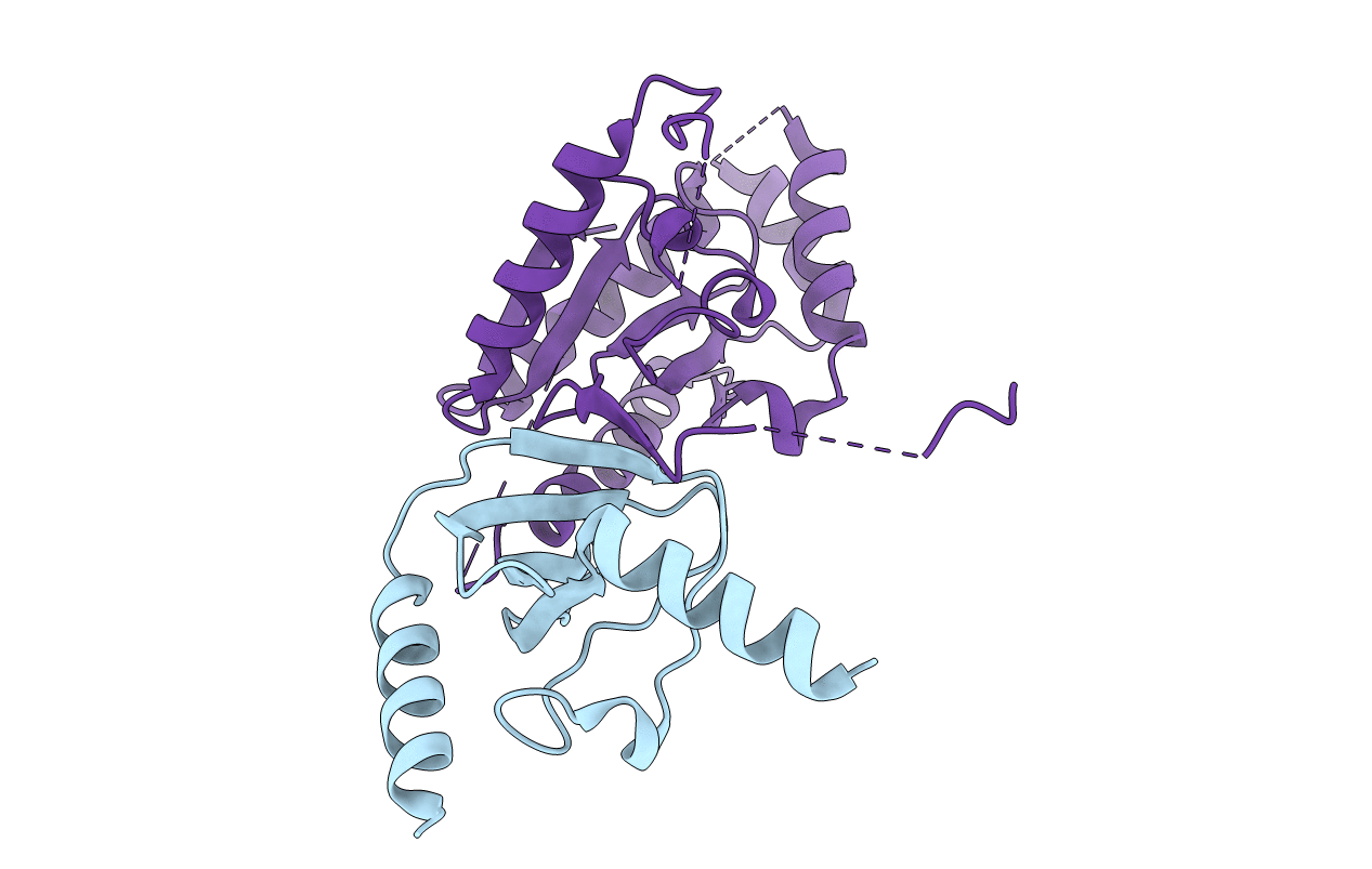 1T0H image