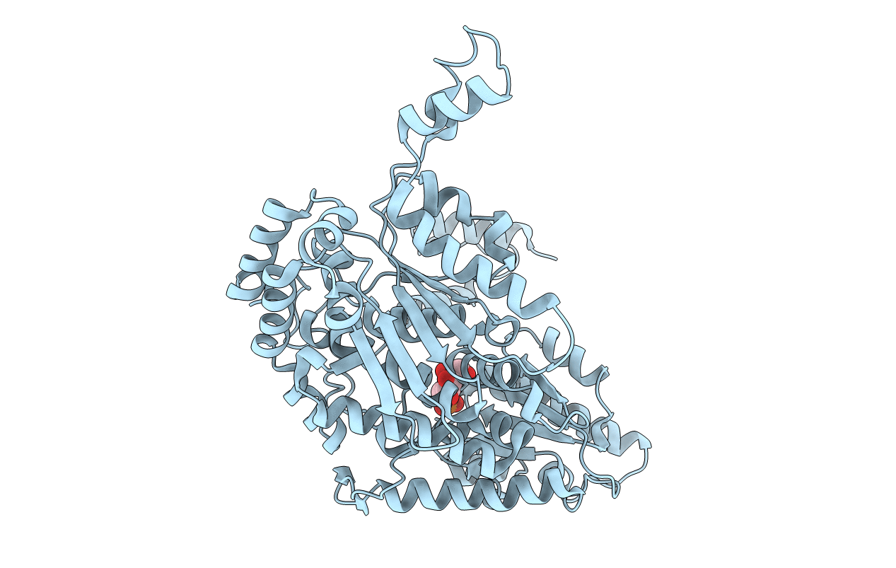 1T10 image