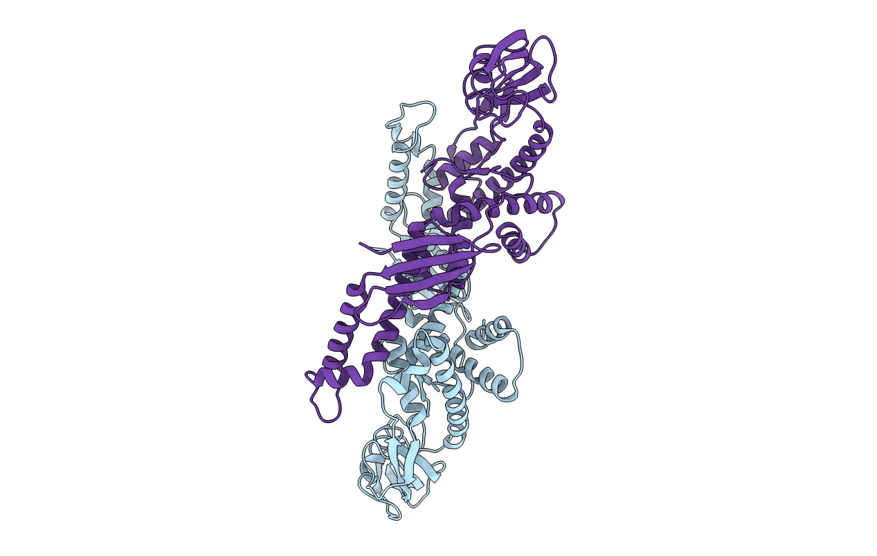 1T11 image