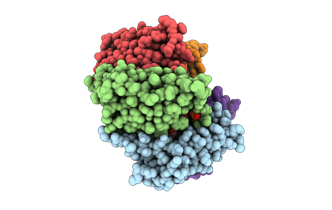1T13 image