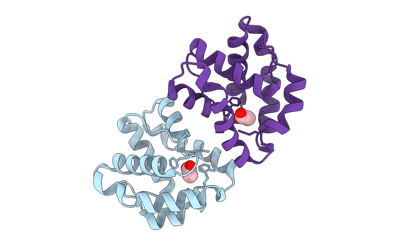 1T14 image