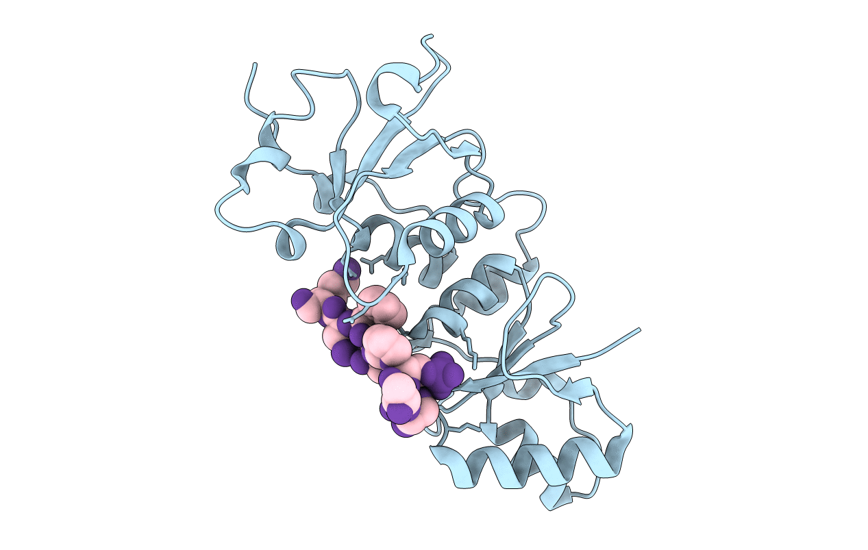 1T15 image