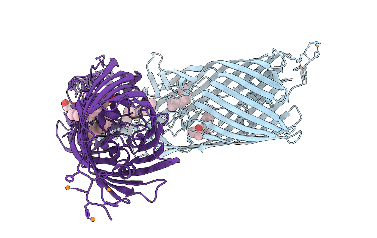 1T16 image