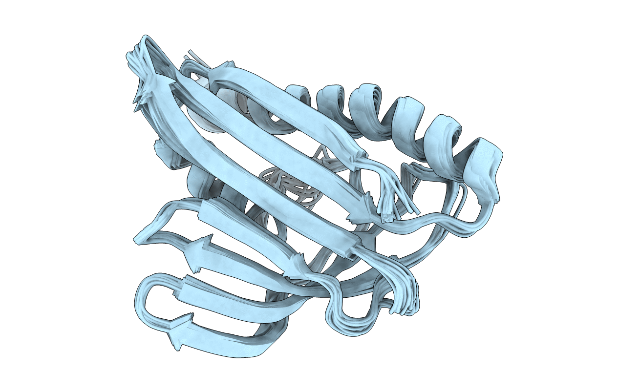1T17 image