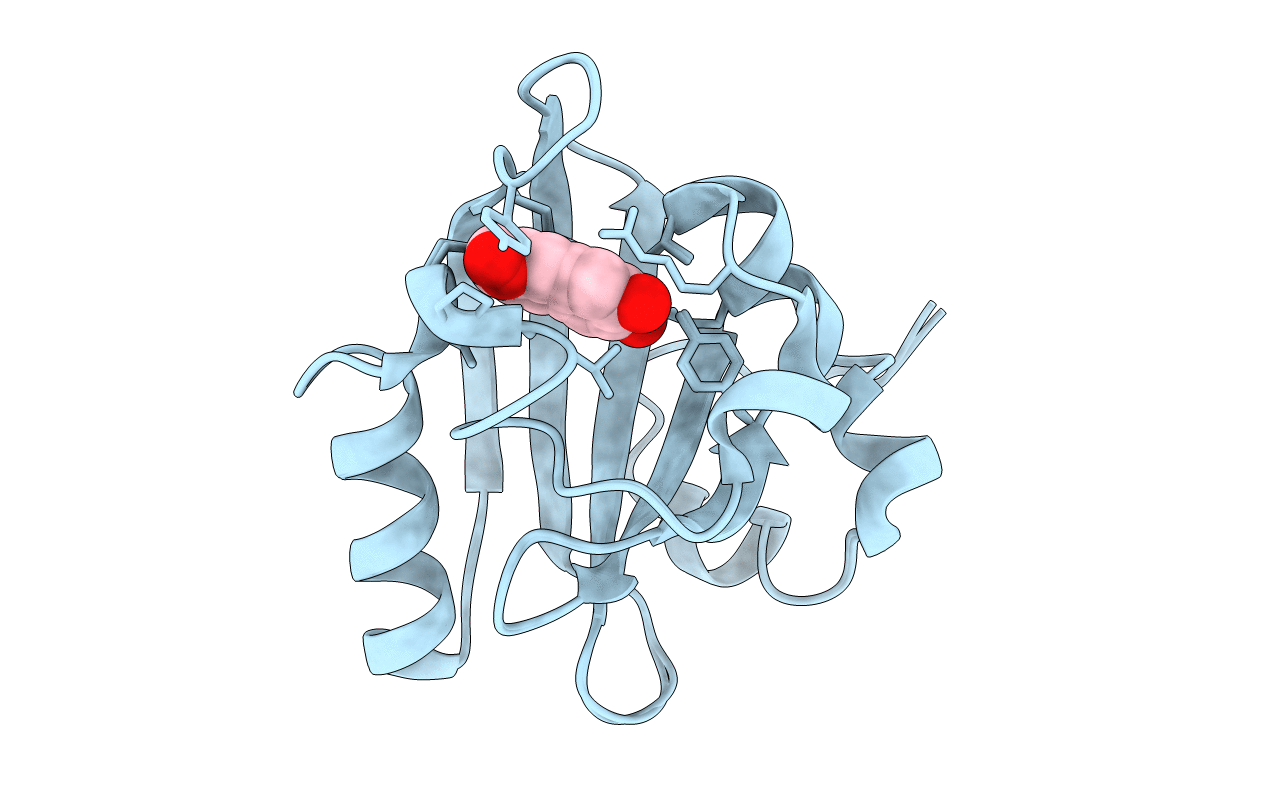 1T18 image