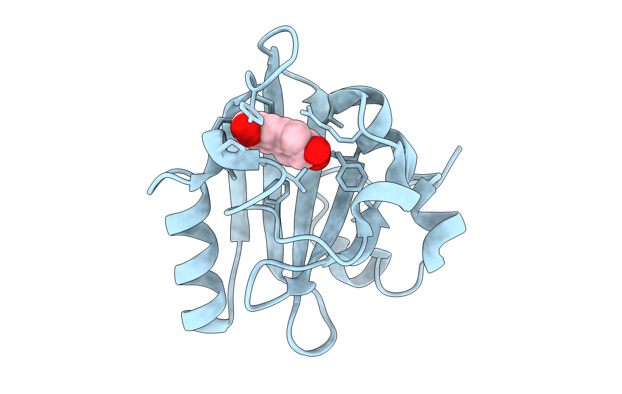 1T19 image
