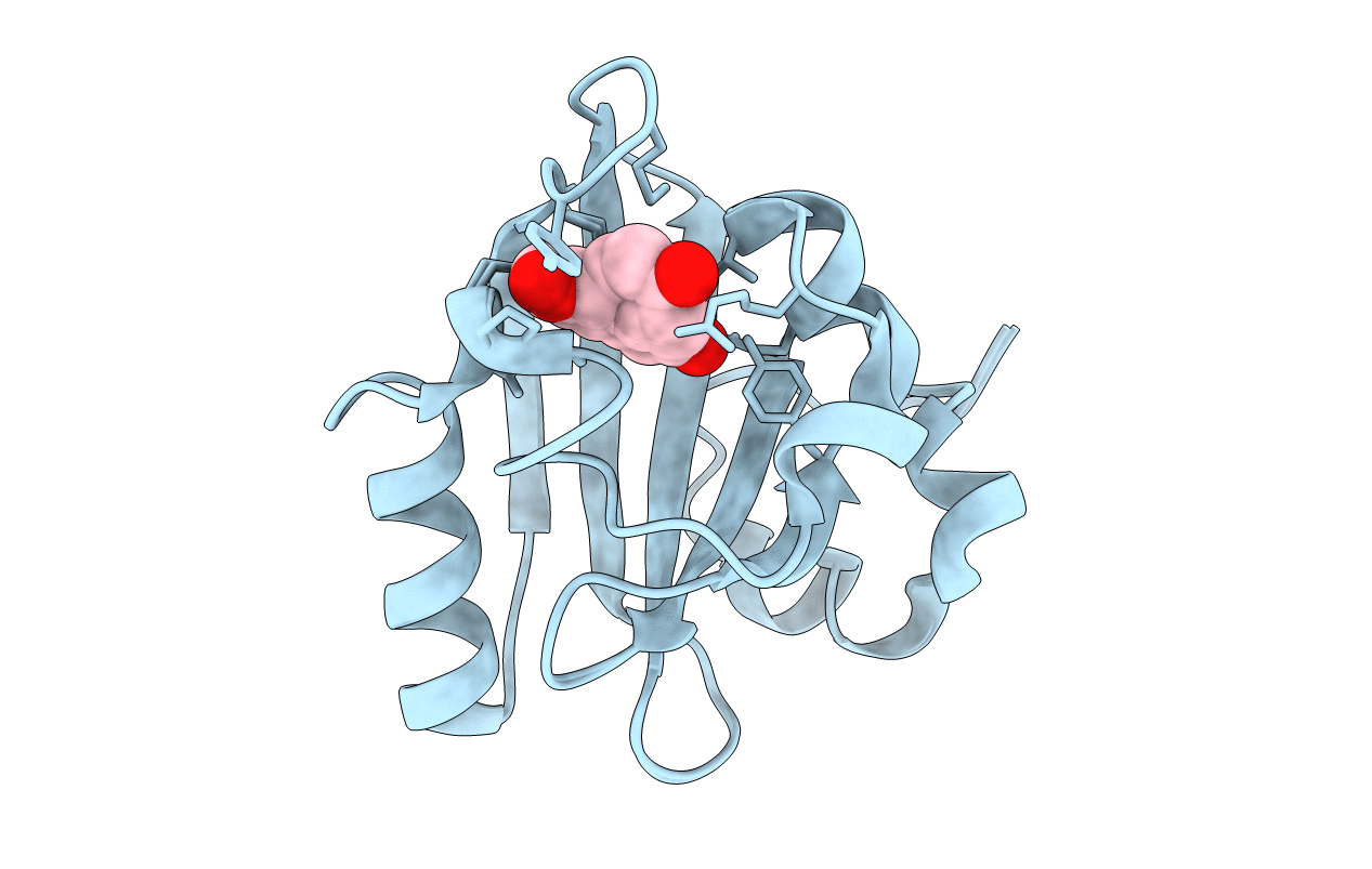 1T1A image