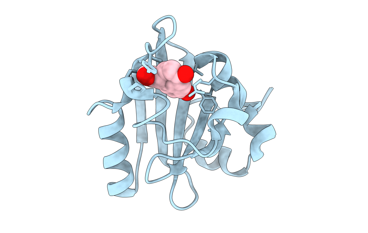 1T1B image